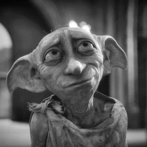 Meet your Posher, Ally